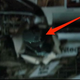 Illustration for article titled 61 Super 8 screengrabs unlock the clues in J.J. Abrams' new trailer